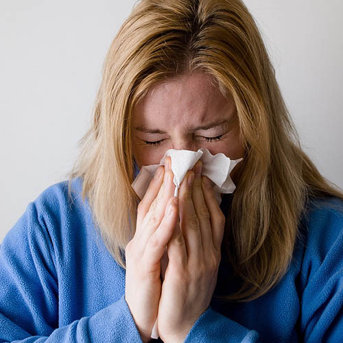 Vue interieure de la Pharmacie de l'Église
